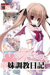 【AVG】妹调教日记 本体+FD PC硬盘+ONS 百度网盘下载【已失效】