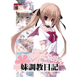 【AVG】妹调教日记 本体+FD PC硬盘+ONS 百度网盘下载【已失效】