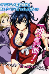 《魔乳秘剑帖》无修BD 下载