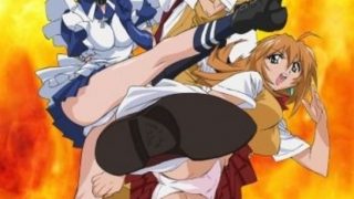 《一骑当千》全四季+OVA BD 下载