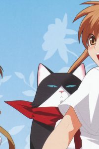 《猫愿三角恋》百度网盘下载