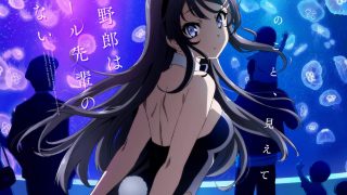 《青春猪头少年不会梦到兔女郎学姐》附BDrip 百度网盘下载