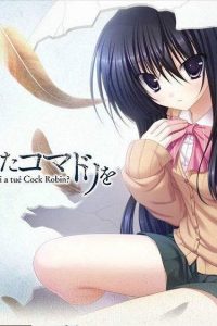 【AVG】《谁杀死了知更鸟》ons 百度网盘下载【已失效】