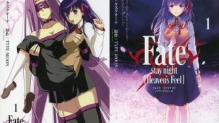 【漫画】【连载中】《Fate/stay night Heaven’s Feel》【1-8卷】百度网盘下载