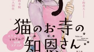 【漫画】【完结】《猫之寺的知恩姐》阿里云下载