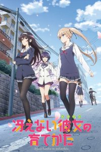 《路人女主的养成方法》 1-2季+剧场版 BDrip 百度网盘/115网盘/磁力链接下载