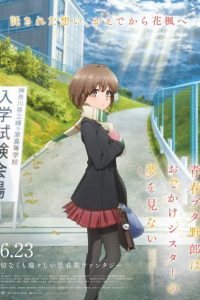 《青春猪头少年不会梦到娇怜外出妹》阿里云下载
