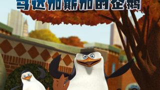 《马达加斯加的企鹅》TV1-3季 国语配音 123网盘下载