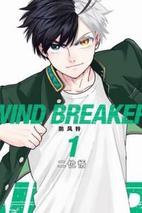 【漫画】【连载中】《WIND BREAKER 防风铃 》移动云下载