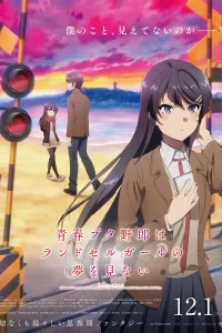 《青春猪头少年不会梦到红书包女孩》 夸克网盘下载