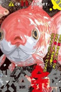 【漫画】【连载中】《涩谷金鱼》移动云下载