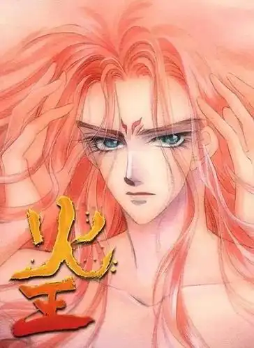 【漫画】《火王》14卷 PDF 百度网盘下载