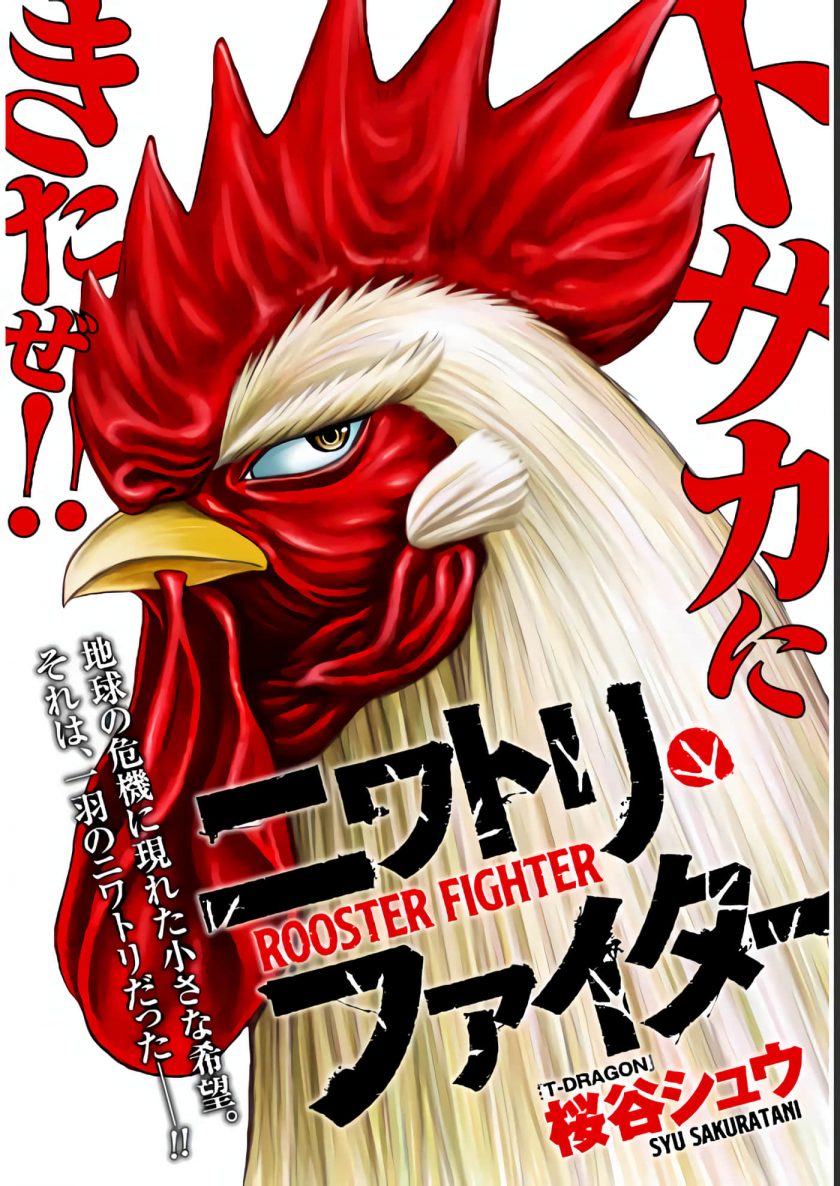 【漫画】【连载中】《社会我鸡哥，人狠话不多》1-46话 JPG 夸克/123网盘下载