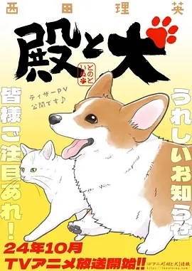 《老爷与犬》百度网盘下载