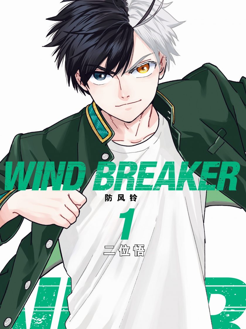 【漫画】【连载】《WIND BREAKER 防风铃》1-17卷 JPG 夸克网盘下载