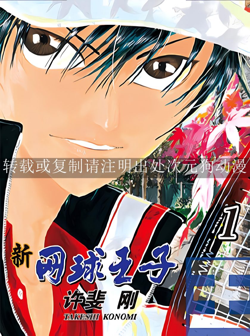 【漫画】【连载】《新网球王子》1-41卷 JPG 夸克网盘下载